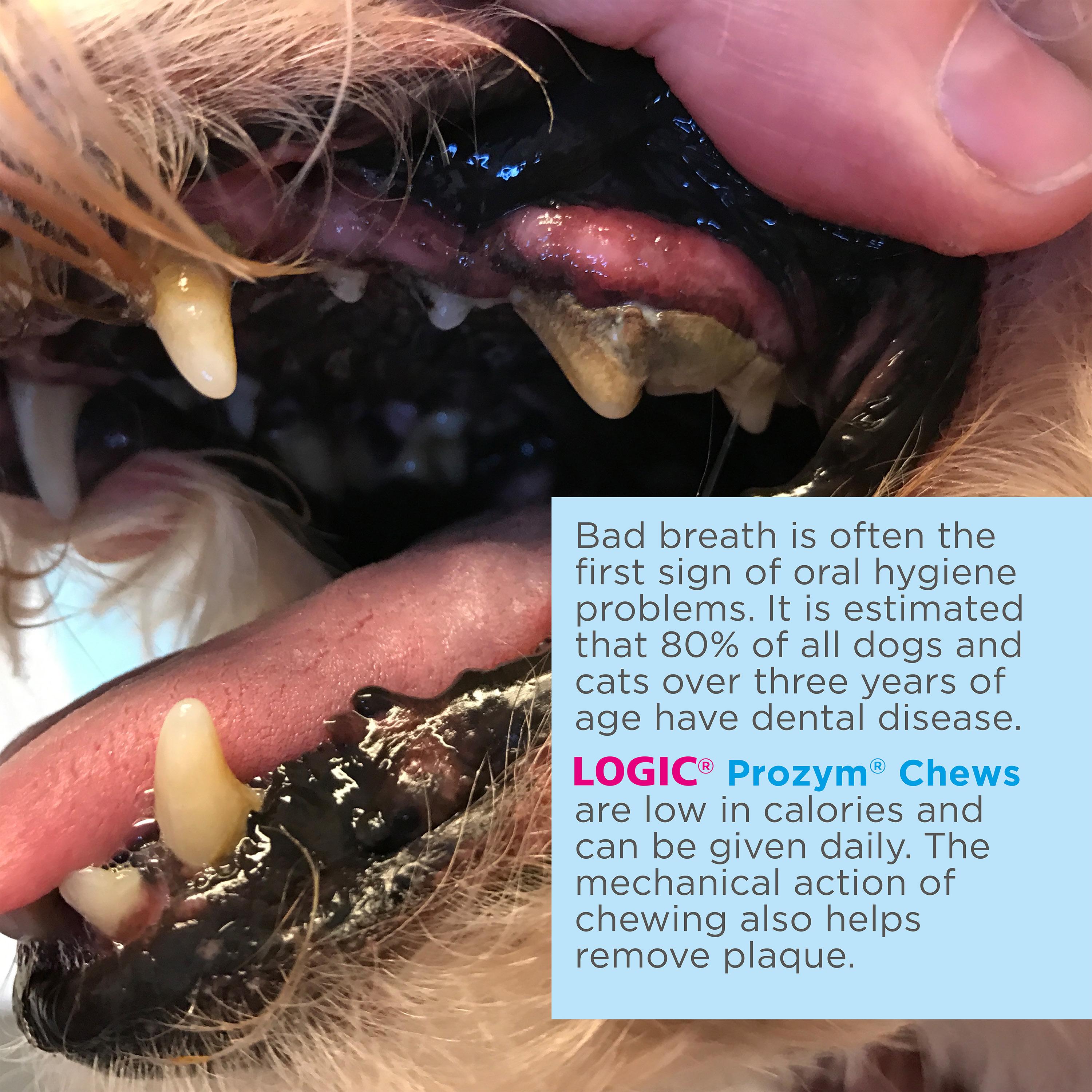 Logic chews for small dogs deals